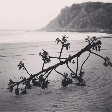 Apartamento Amarguinha